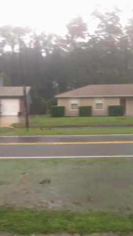giphy__7_.gif